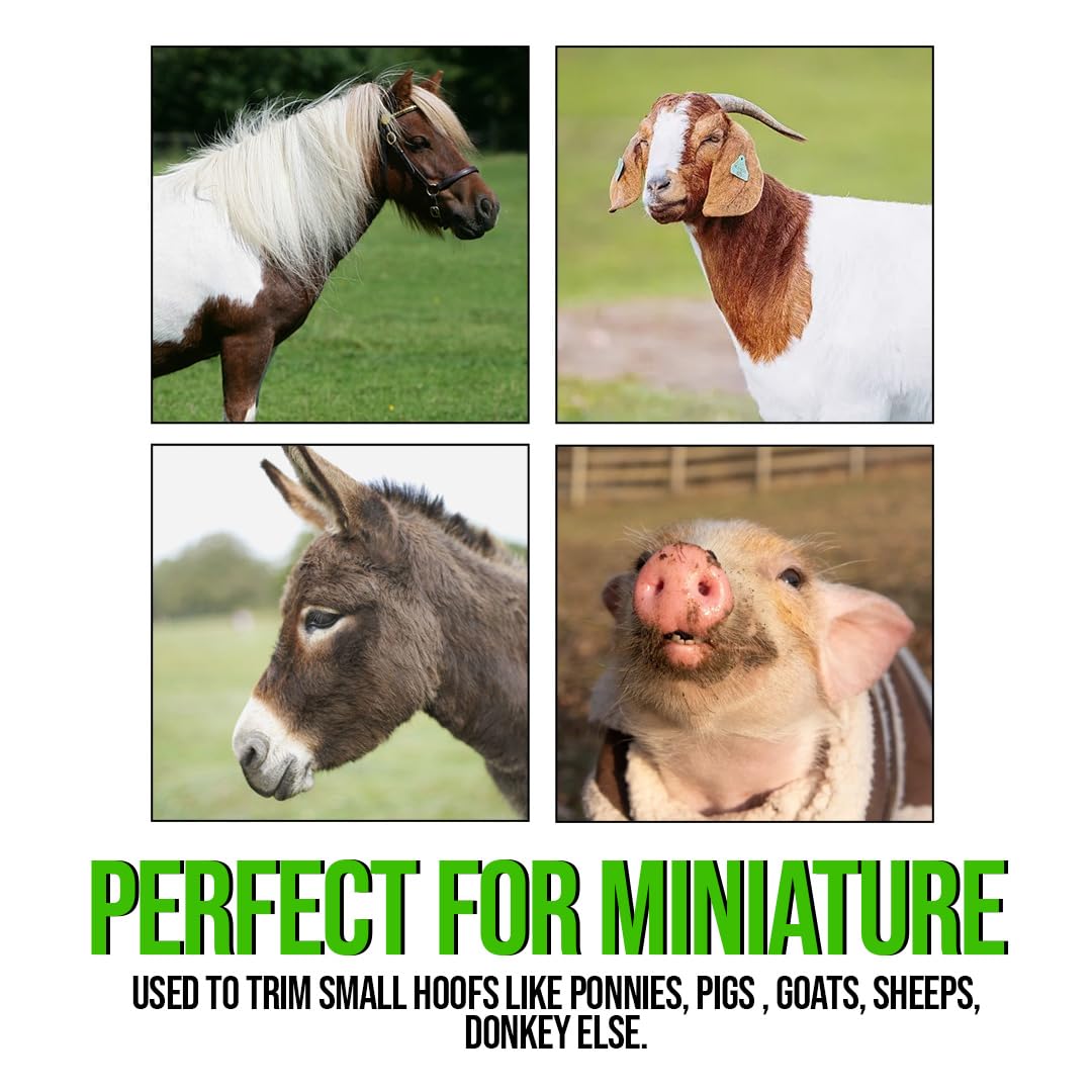 Miniatur Nipper 25,4 cm Hufmesser für Ponys-Vanadium-Stahl Farrier Werkzeug in Dull Finish