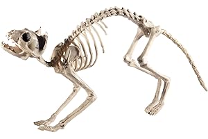 Smiffys Cat Skeleton Prop: The Purr-fect Halloween Decoration