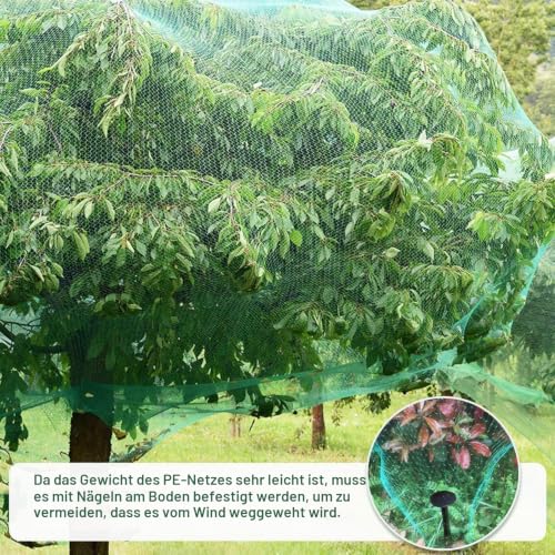 4m x 6m Vogelnetze Vogelschutznetz Engmaschig, mit 20 Schwarzen Erdankern (11 cm), Vielseitiges Taubennetz Balkon, Netz Garten für Früchte, Saatgut, Teichabdeckung, Pflanzenzaun und Erdbeer-Schutznetz