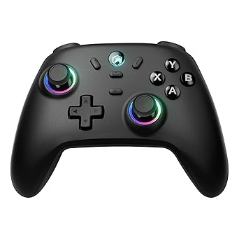 ECHTPower Wireless PC Gaming Controller - Hall Effect Joystick, 2.4G & Wired 1000Hz Polling Rate, 800mAh Battery, Adjustable Turbo/Vibration - for PC/Switch/iOS/Android