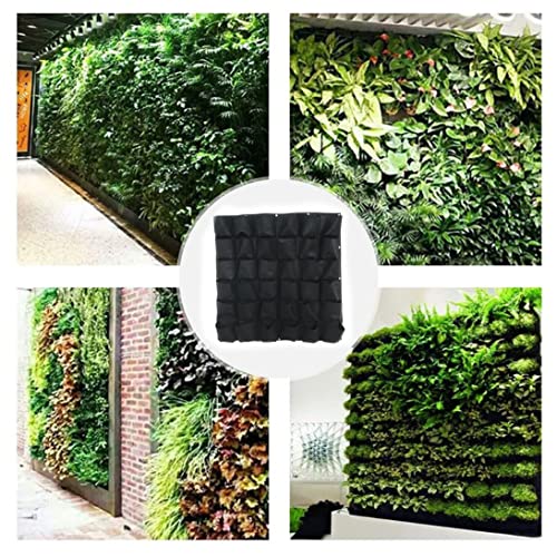 Bolsas de cultivo para pared con 36 bolsillos de tela para plantas 6