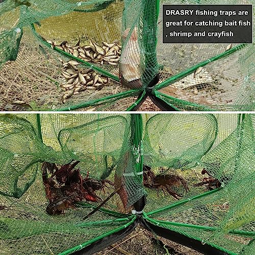 Piège à crabes pliable 40 x 80 cm - Pour pêche à l'appât