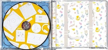 RIP SLYME CD DVD 本 50 まとめ売り アルバム リップスライム