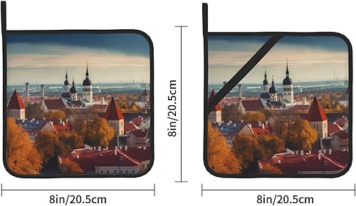 Miniatura 10 de 2 soportes para ollas para cocina, resistentes al calor, con patrón Corgi, almohadillas calientes, lavables, para cocinar, salvamanteles cuadrados