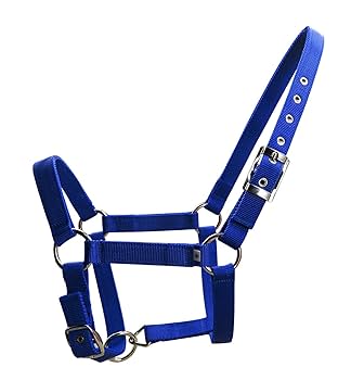 Amazon.co.jp: huaCCG 乗馬用品 無口 曳き手 セット ホルター