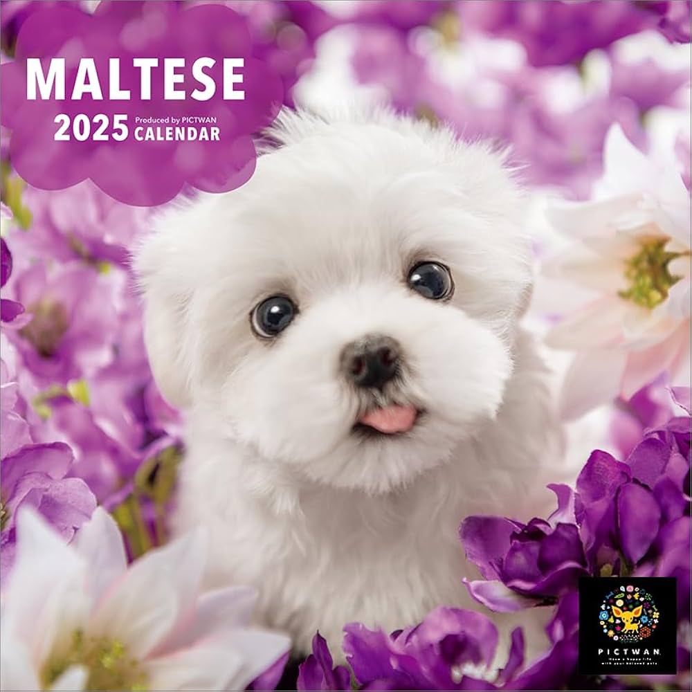 1967VANポスターカレンダー 1967VANポスターカレンダー Gardens of the Spirit 2024 Wall