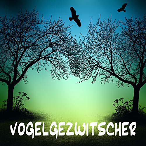 Vogelgezwitscher, Waldgeräusche & Vogelstimmen