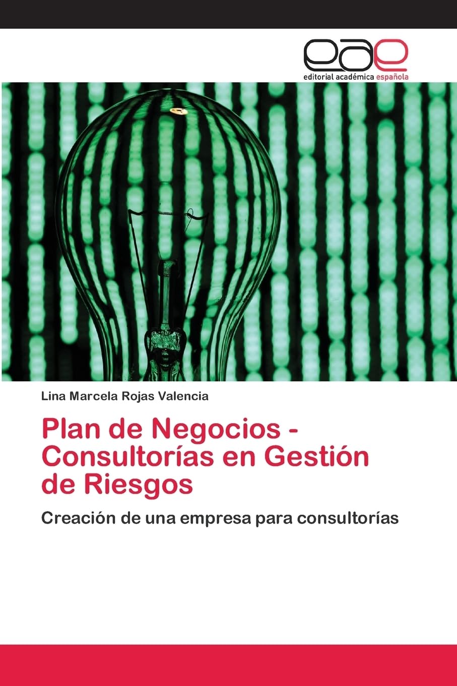 Plan de Negocios - Consultorías en Gestión de Riesgos: Creación de una empresa para consultorías