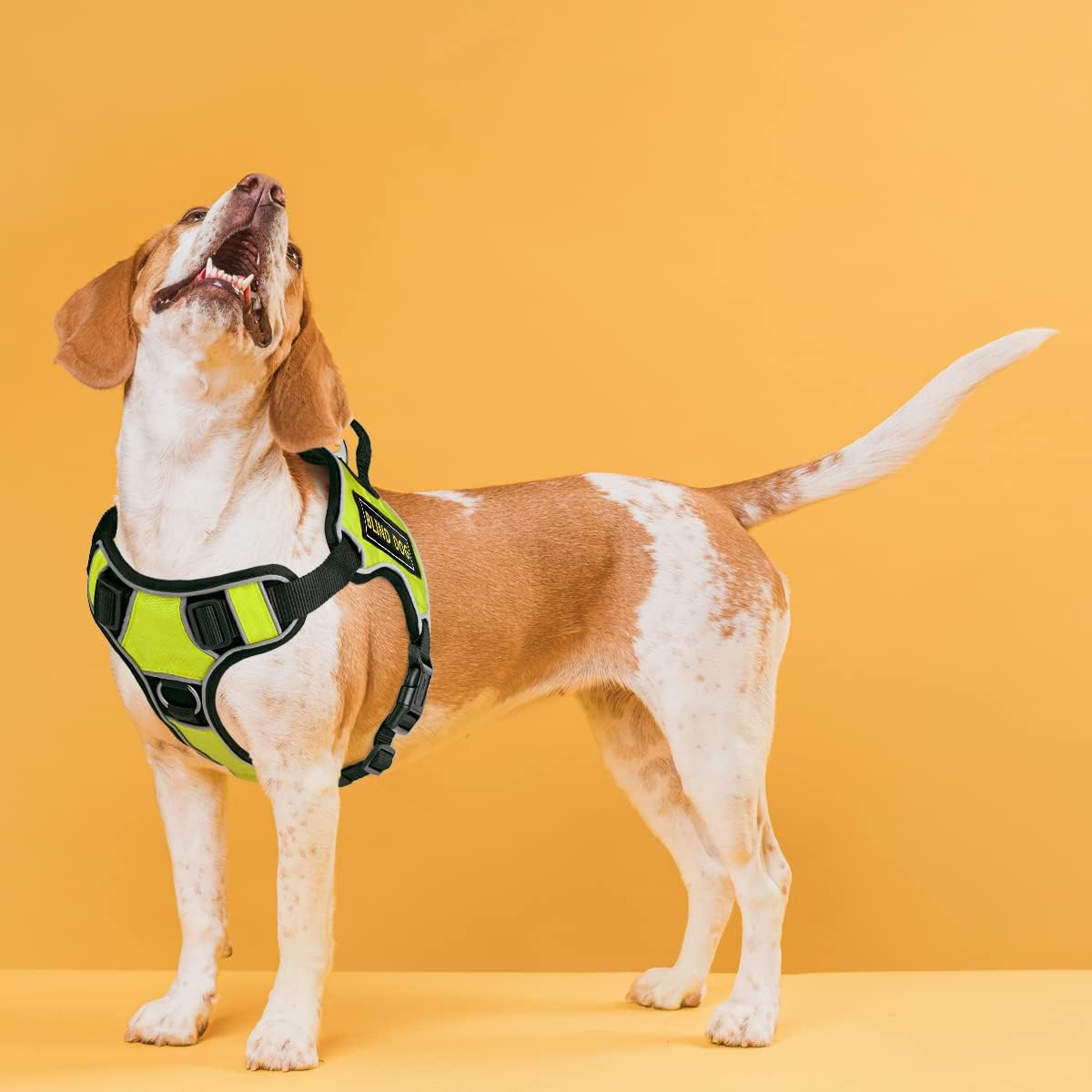 Dogline Quest No-Pull Dog Harness with 3D Rubber Blind Dog Removable Patches Reflective Soft Comfortable Dog Vest with Quick Release Dual Buckles Black Hardware and Handle 15 to 18 inches Green