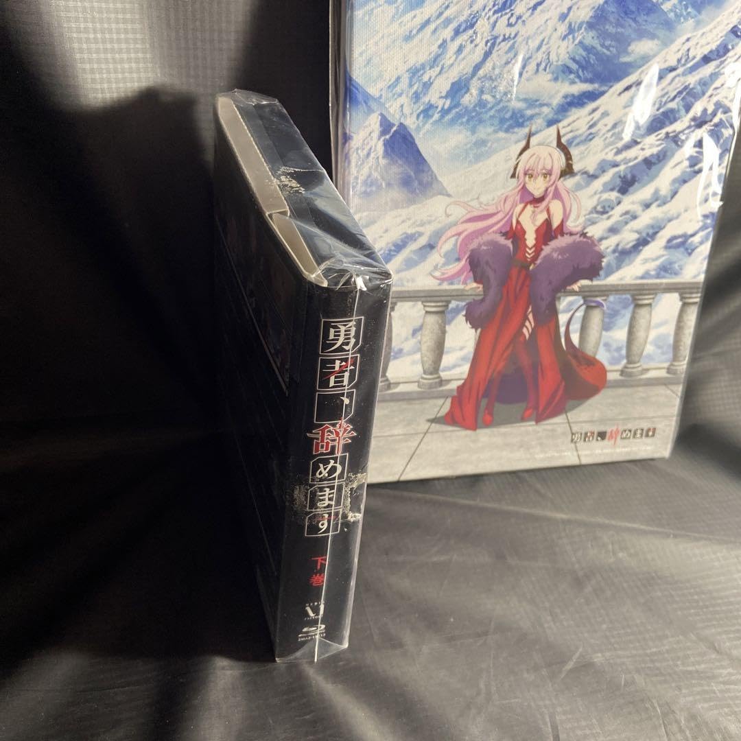 勇者、辞めます　Ｂｌｕ－ｒａｙ　ＢＯＸ　下巻（Ｂｌｕ－ｒａｙ　Ｄｉｓｃ） Amazon.co.jp: 勇者、辞めます Blu-ray BOX 下巻 : 小野賢章