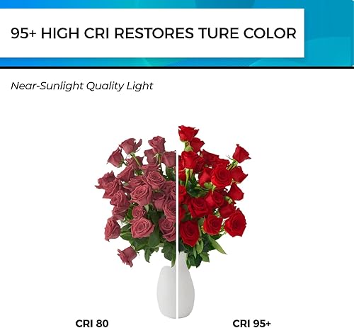 Miniatura 4 de Hizashi - 3 bombillas led Edison E26 de 60 W, regulables de 4,000 K, ST19, estilo vintage, blanco frío, CRI superior a 95, certificación UL, 700