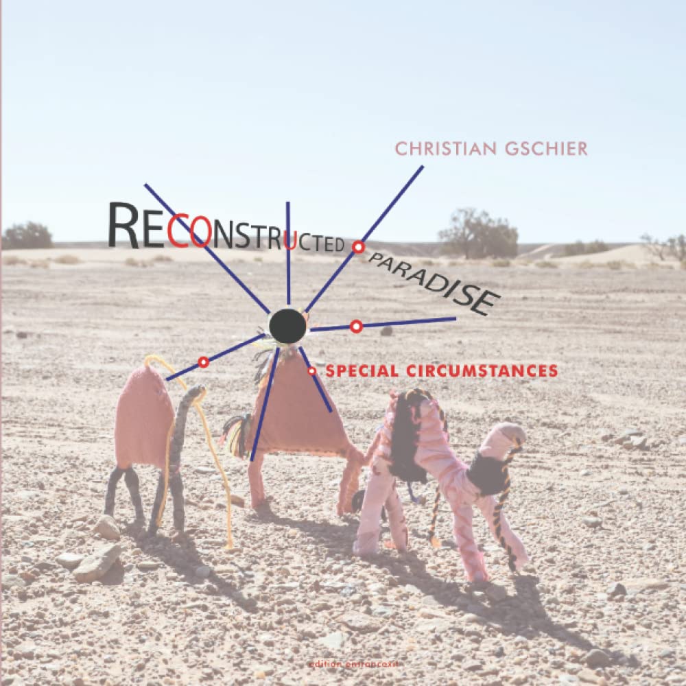 Reconstructed Paradise Special Circumstances pour vos soirées d'écoute vinyle relaxantes