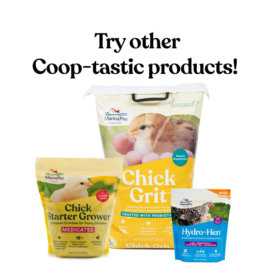 Harris Farms Chick Drinker and Feeder Bundle Kit – Contains 1 Screw on Chick Feeder Base and 1 Screw on Chick Drinker Base – 2 QT Plastic Jars – Made from BPA Plastic – Easy to Clean