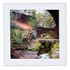 3dRose Ash Cave and Old Mans Cave in Hocking Hills State Park Collage 6x6 inch Quilt Square #1