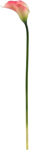 Miniatura 7 de Nearly Natural 19.5" flor de lirio de cala (juego de 12) crema artificial para plantas