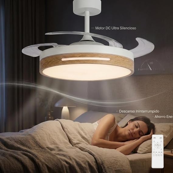Ceiling Fan with Dimmable LED Light, 60 W, Silent DC Motor, 3 Colour Temperatures, 6 Speeds, Remote Control, Summer/Winter Function, Night Mode, 106 cm (Natural Wood) [Energy Class F]