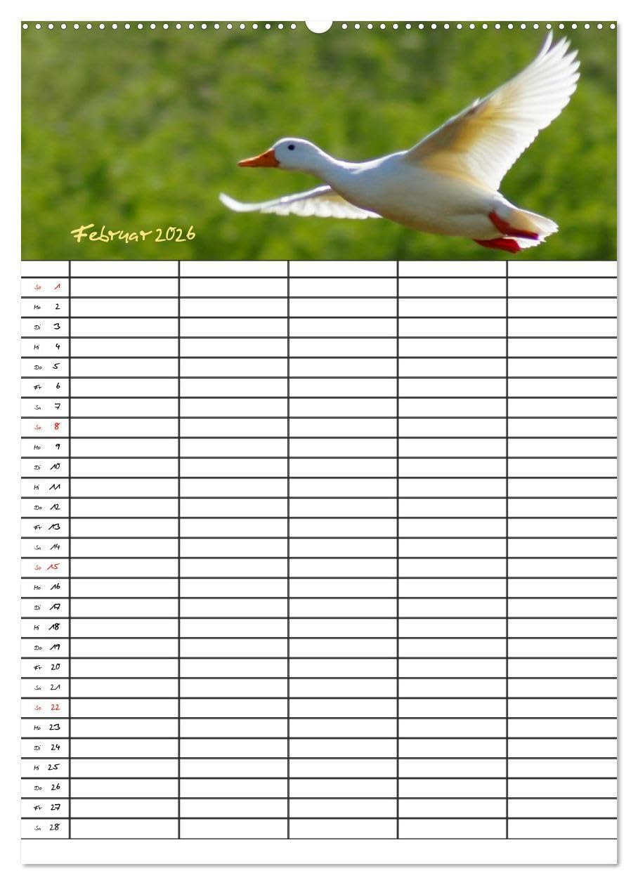 Bauernhoftiere Familienplaner (hochwertiger Premium Wandkalender 2026 DIN A2 hoch), Kunstdruck in Hochglanz: Nutz- und Haustiere (CALVENDO Tiere)