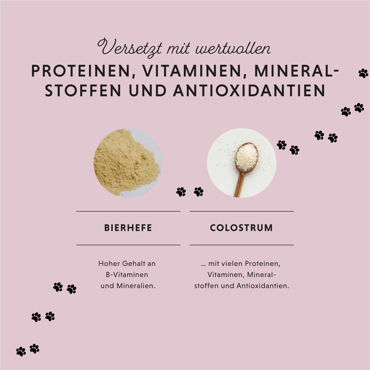 Annimally Hunde Relax Tabletten - Wohlfühl Tabletten für Hunde mit Baldrian, Johanneskraut, L-Tryptophan, 250 XL²-Tabletten bei Angst, Stress & für Reise - hohe Akzeptanz