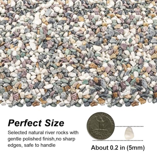 Image of River Rocks, Landscaping Pebbles, Natural Decorative Stones, 1 Pound | Ornamental Gravel Filler For Flower Bed, Fish Tank, Plants, Vases, Succulents, Home & Garden Landscaping Decoration