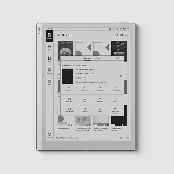 BOOX Tablet Go 10.3 ePaper E Ink Tablet No Front Light 4G 64G 300 PPI B/W