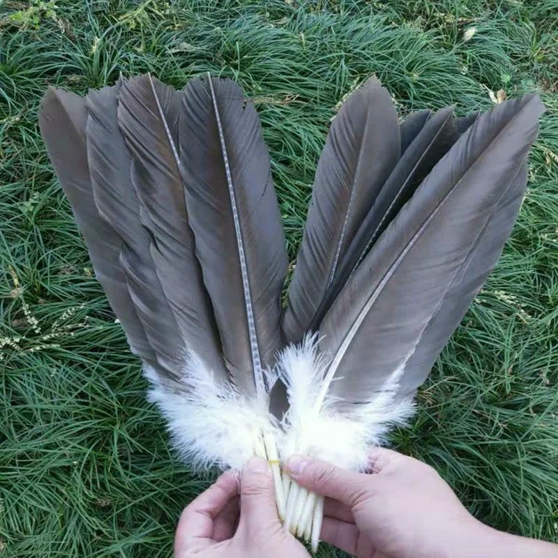 10 STÜCK, Adlerfedern, Schwanzfedern 40-50 cm aus natürlichen Steinadlerfedern - Standard