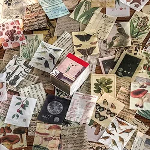 Rolees Vintage Diy Scrapbooking Journaling Supplies Plant Animal Butterfly Bird World Map Letter Newspaper Decorative Antique Vintage Paper Art Craft Embellishment Supplies #TOP3