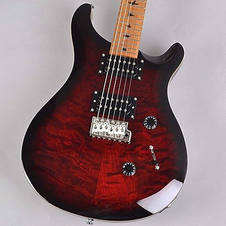 Amazon Prs ポールリードスミス エレキギター Se Custom 24 Roasted Maple Limited Fire Red Burst エレキギター 楽器 音響機器