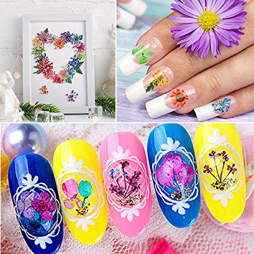 3 Doos Nagel Gedroogde Bloem,Real Natural Dried Flowers,Gedroogde Bloem Nagelkunst,Mini Nagel Gedroogde Bloemen Voor… - Afbeelding 5