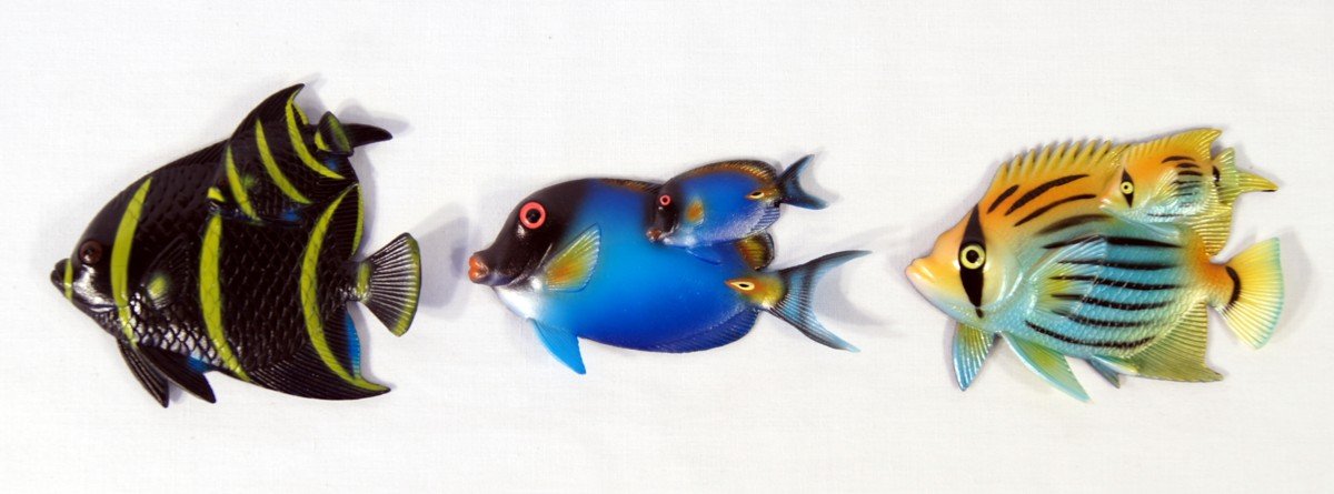 Amazon.com: Wholesale Pack Handpainted Twin Tropical Fish Magnet