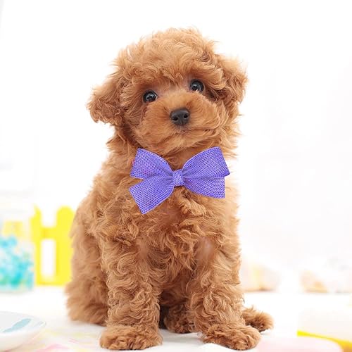 Miniatura 5 de Cintas de arpillera con alambre morado de 2.5 pulgadas y 10 yardas, resorte sólido con alambre para decoración de borde con alambre de tela, cinta