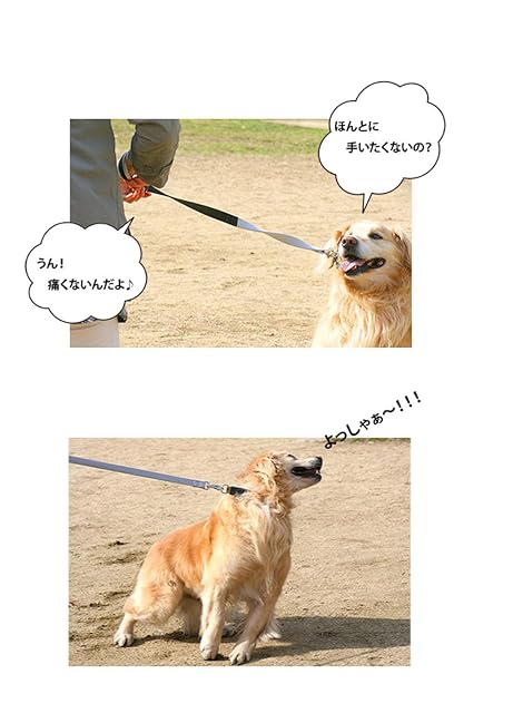 Foto 7 de 8 de Guinzaglio nylon elastico cane cani imbottito Ferplast ERGOCOMFORT ELASTIC