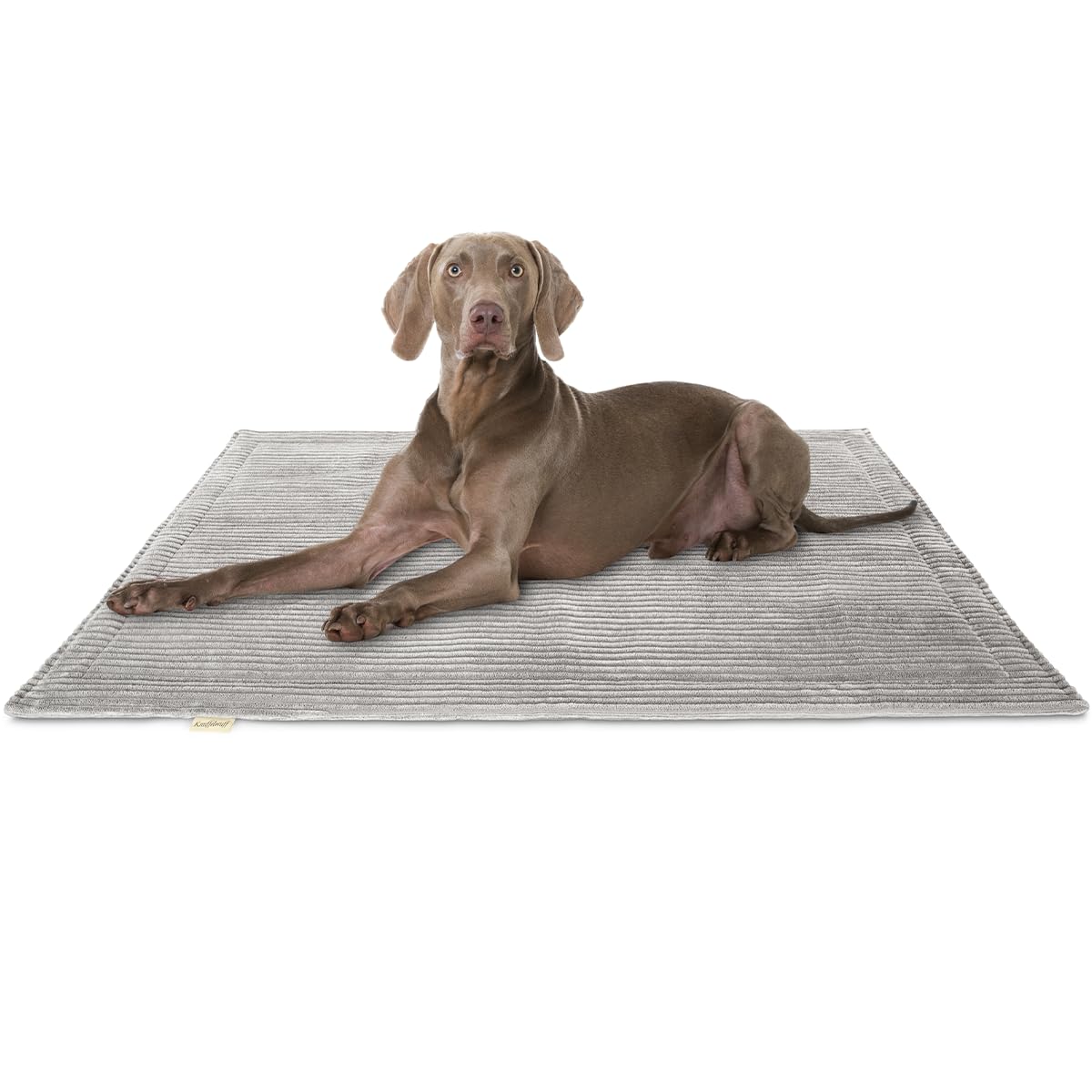Knuffelwuff Timor Dog Blanket, 120 x 80 cm, Light Grey, Comfortable and Easy-Care Soft Cord Blanket, Washable