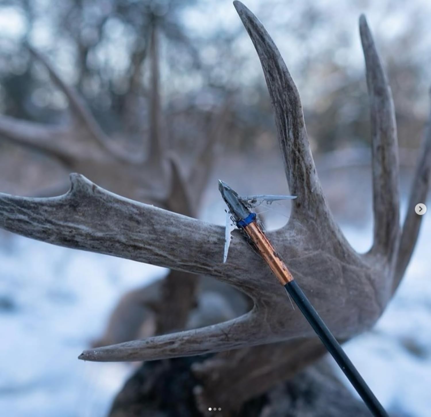 G5 Deadmeat V2 Expandable 3-Blade Broadheads | 3-Pack | 100/125 Grains | Razor Sharp 1.5" Cutting Diameter Mechanical Blades | Screw in | Compound & Recurve Compatible | 1 BMP Practice Tip Included