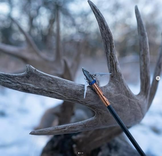 G5 Deadmeat V2 Expandable 3-Blade Broadheads, 3 Pack, Compound & Recurve