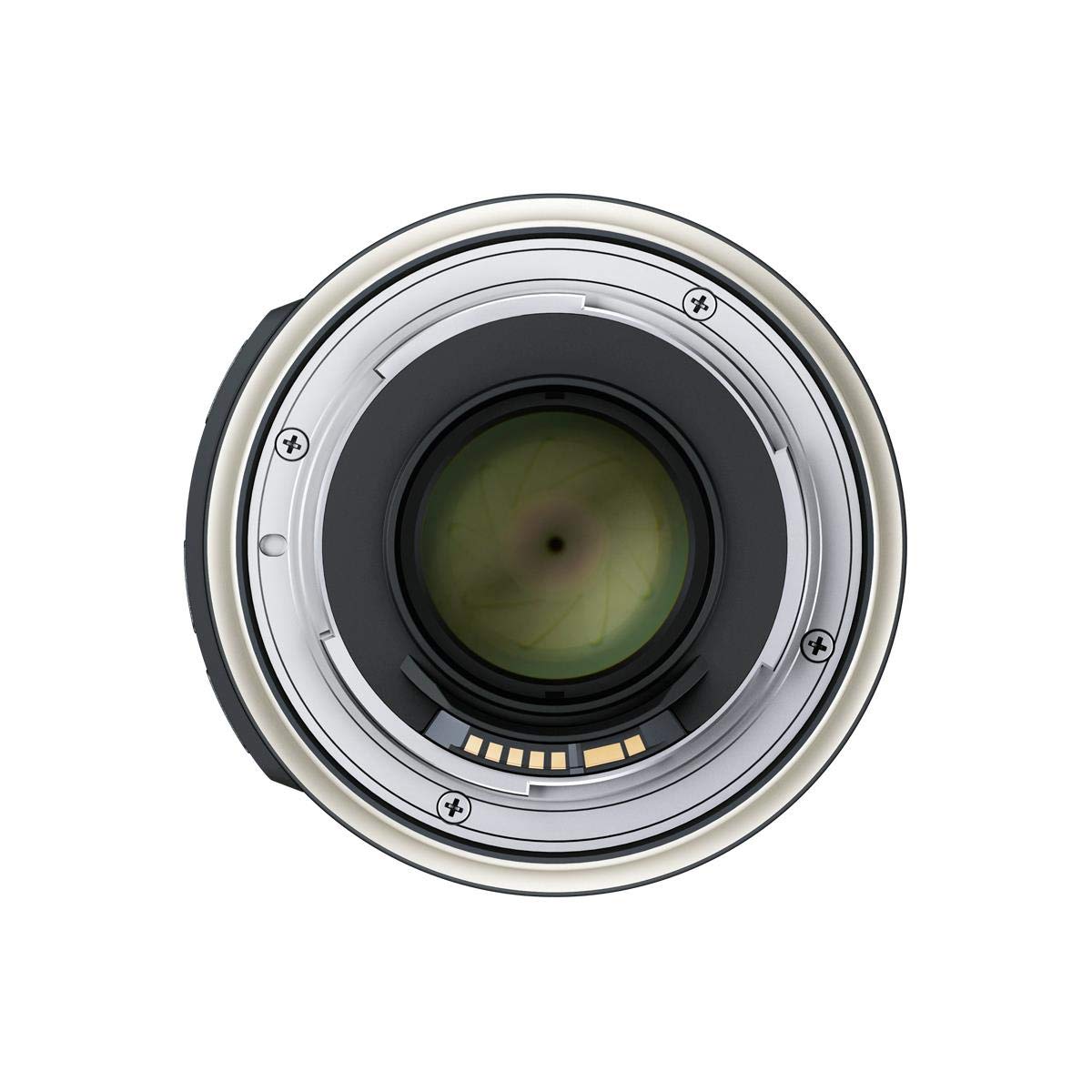 Amazon.com : Tamron AFF017C700 SP 90mm F/2.8 Di VC USD 1:1 Macro