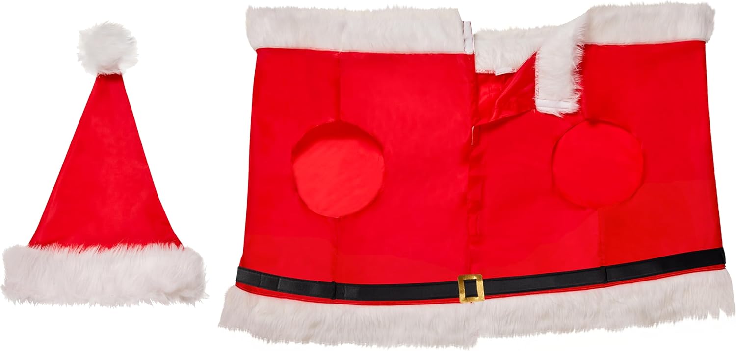 Rubies Themed Inflatable T-Rex Dress Up Accessory Kit