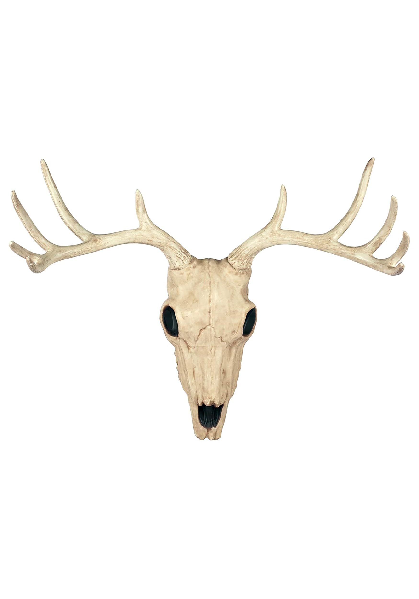 Amazon.com: Crazy Bonez Faux Taxidermy 10 Point Buck Deer Skull