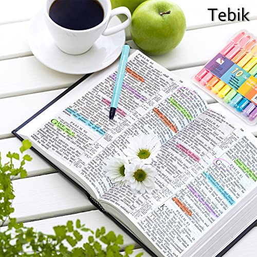 Tebik Gel Highlighter, 10 Colors Bible Safe Highlighter Study Kit, Highlighters Assorted Colors, Twistable Design, No Bleeding Great For Journaling, Highlighting And Study #TOP5