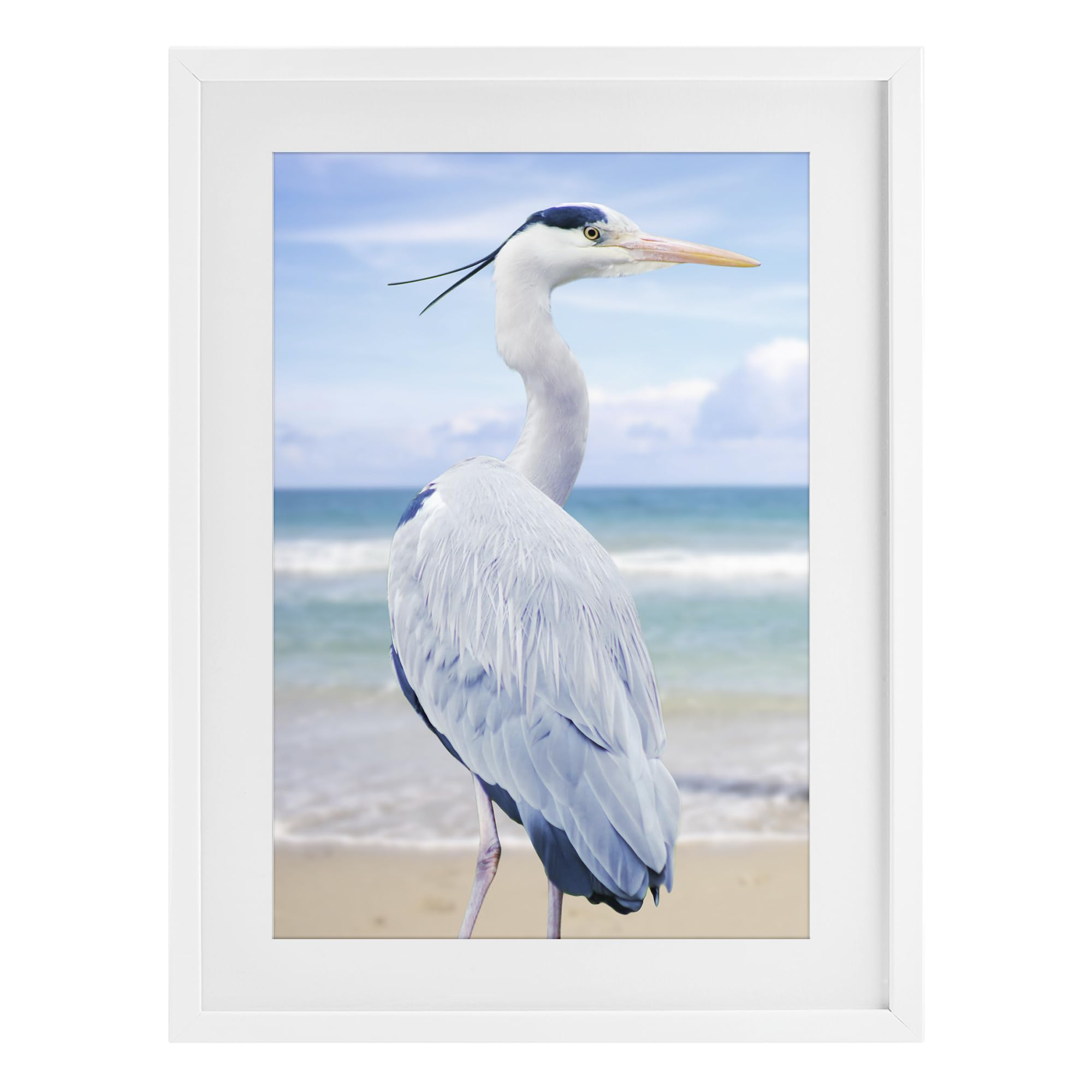 Vacationing Heron Coastal Bird, 17 x 23 Inch Framed Print Under Glass