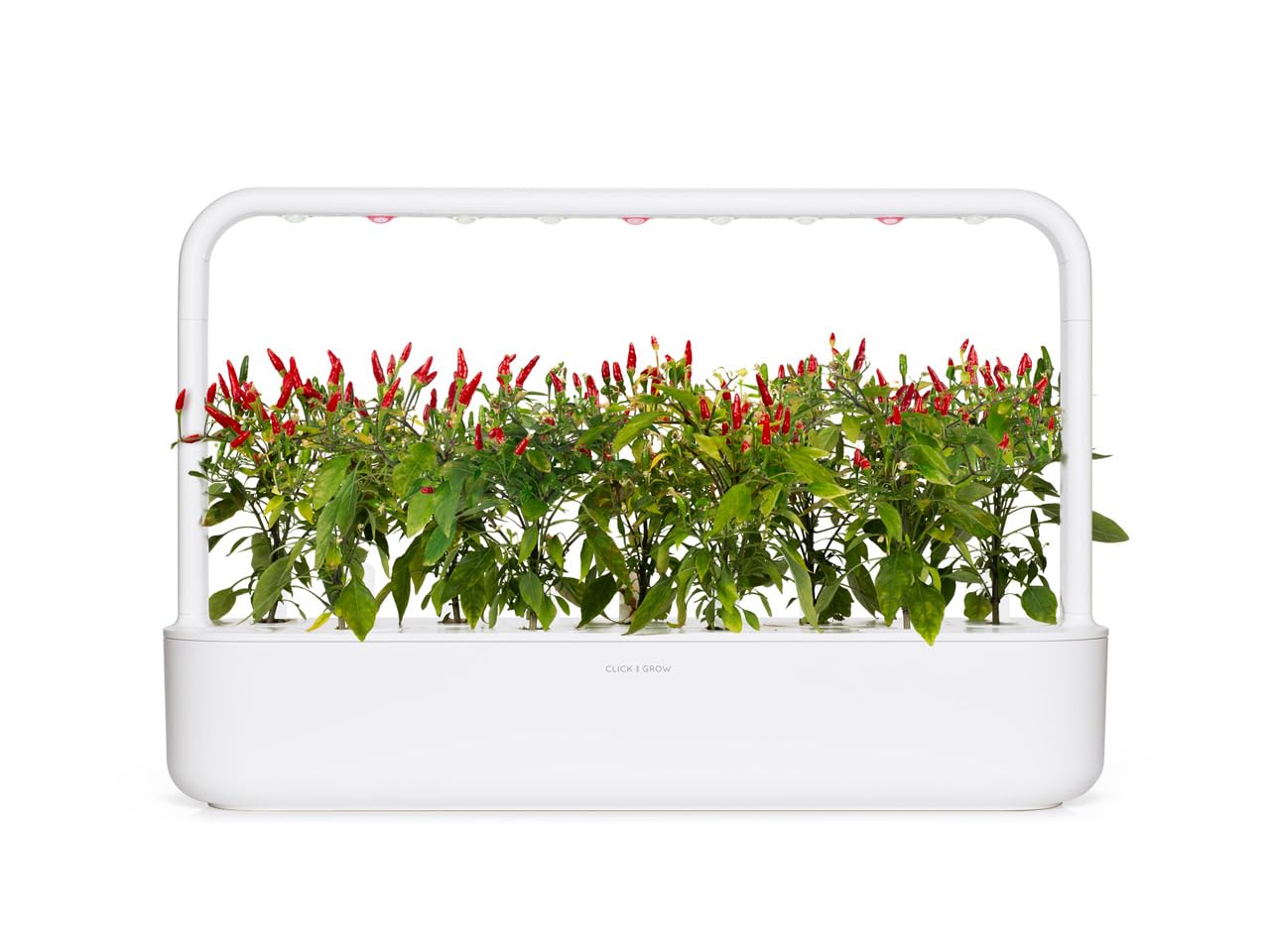 Click and Grow Smart Garden Piri Piri Chili Pflanzenkapseln, 3er-Pack