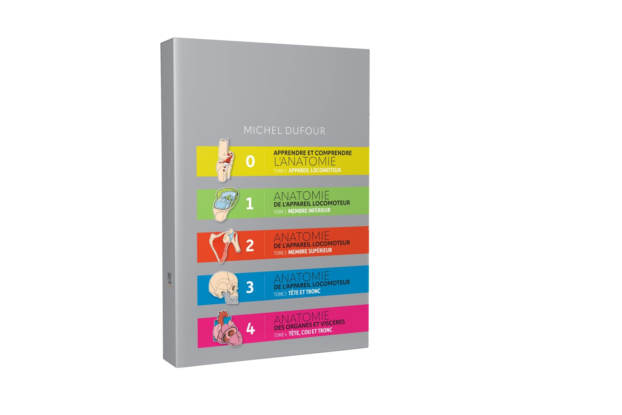 Apprendre et comprendre l'anatomie. Anatomie de l'appareil locomoteur. Anatomie des organes et des v: Pack 5 Tomes