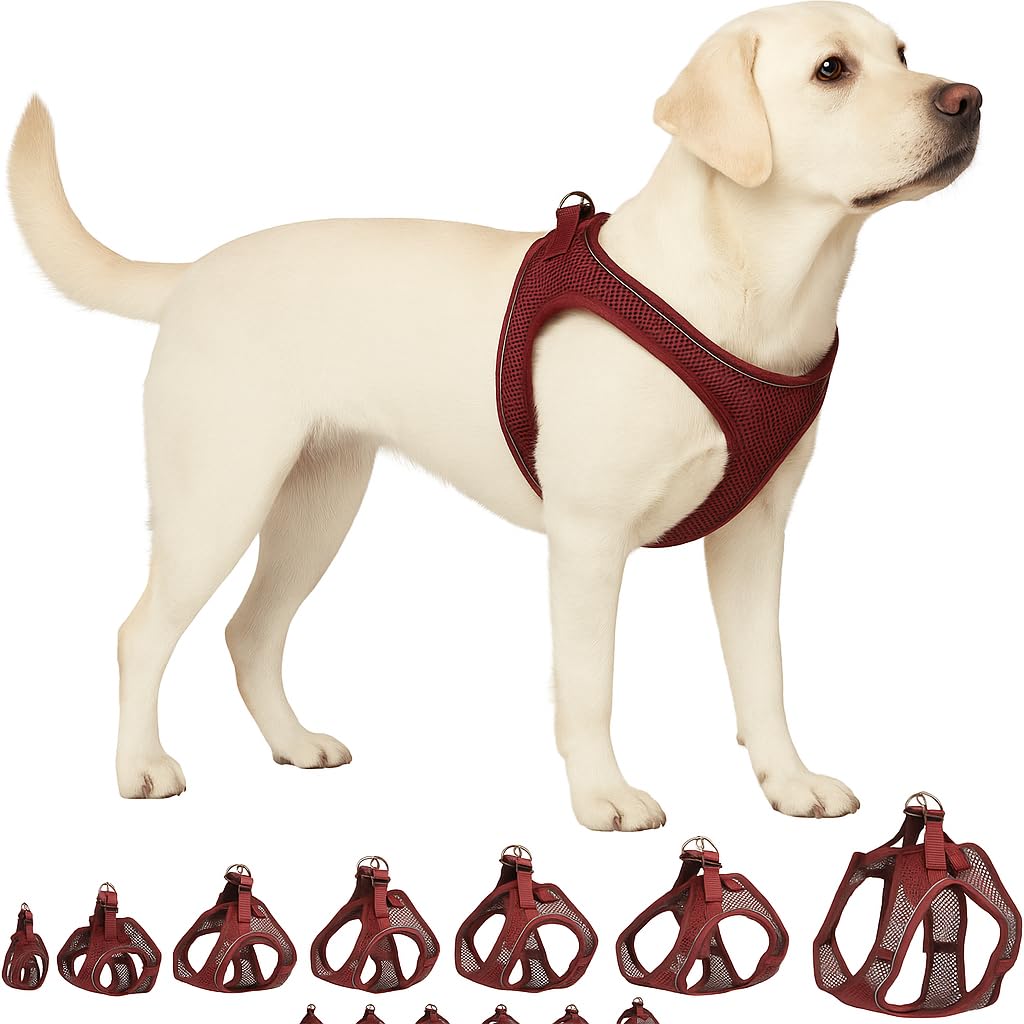 Flamingo Step-Go Bento Harness – Aubergine, XL (A:40-43 cm, B:49-54 cm, 3 mm), Comfortable and Adjustable, Ideal for Australian Shepherd, Springer Spaniel, Staffordshire Bull Terrier, etc.