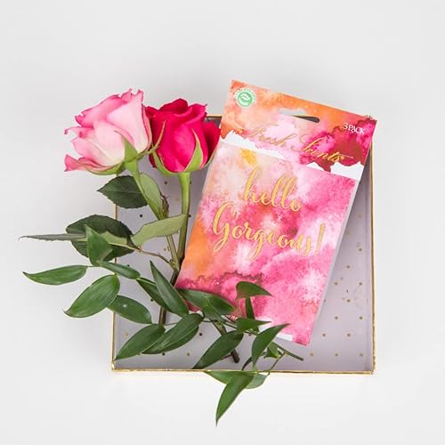 Miniatura 8 de WillowBrook Fresh Scents - Paquete de bolsitas perfumadas Hello Gorgeous Bolsas ambientadoras para cajones, armarios, autos Paquete de 6