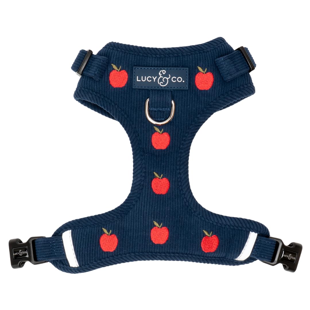 Lucy & Co. Appley Ever After Corduroy No-Pull Dog Harness, S