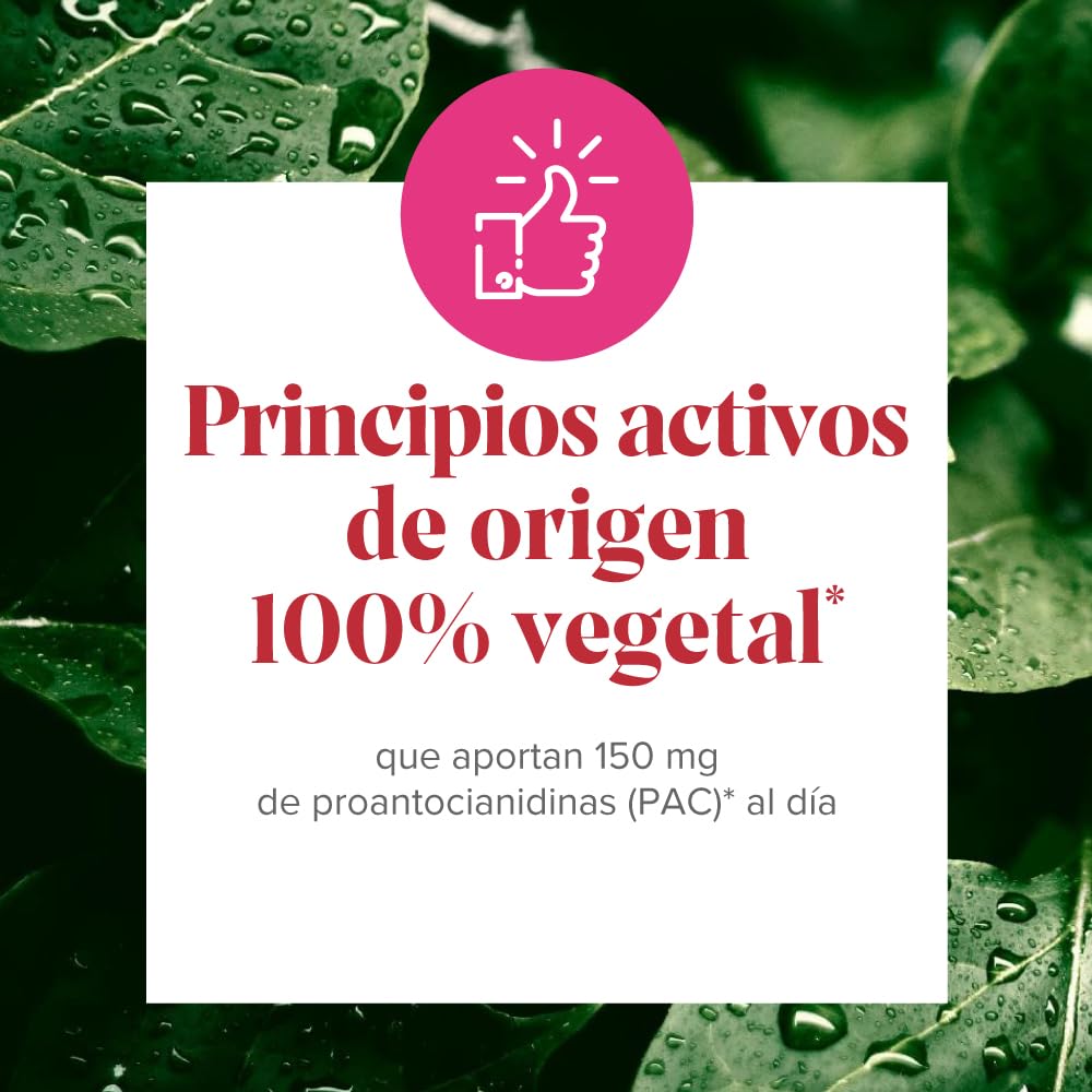 Arkopharma - Cis-Control Cranberola, 120 Cápsulas, con Arándano Rojo Americano y Extracto de Uva, Bienestar del Tracto Urinario, Protección Antioxidante, Fórmula 100% de Origen Vegetal