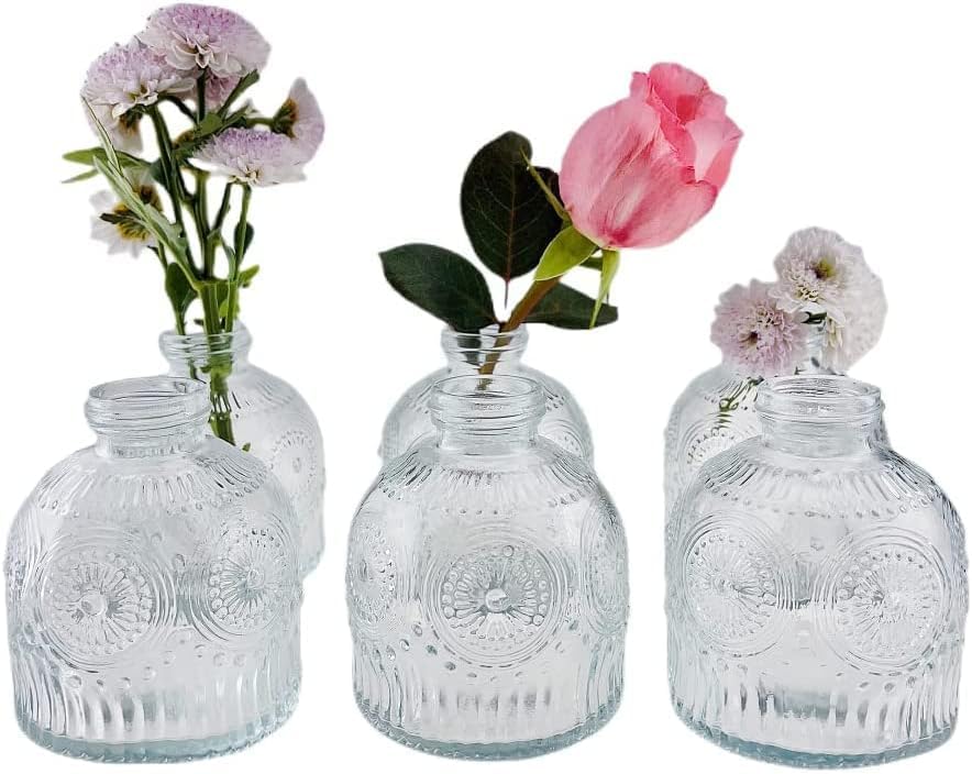 MEETOZ Glass Bud Vases Set of 6,Mini Vintage Bottles,for Home Wedding Party Event Office,Petite Modern Glass Flower Vase Floral Arrangements (Transparent-X)