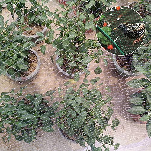 Bird Netting Garden Pond Netting,Protect Fruit Trees,Plants And Vegetables Against Birds And Animals,Mesh Size 2.5 * 2.5Cm,10 * 4M