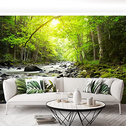 Papier Peint Rivière montagneuse Résistant pour Masquer les Défauts Mur - 5