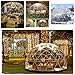 Gartenkuppel-Iglu,12x7.2FT Bubble Zelt,Garten Outdoor Clear Dome Shelter,PVC-transparentes Blasen-Haus-Kuppel-Haus,Cabin Bubble Tent für Familien-Hinterhof-Partys im Freien