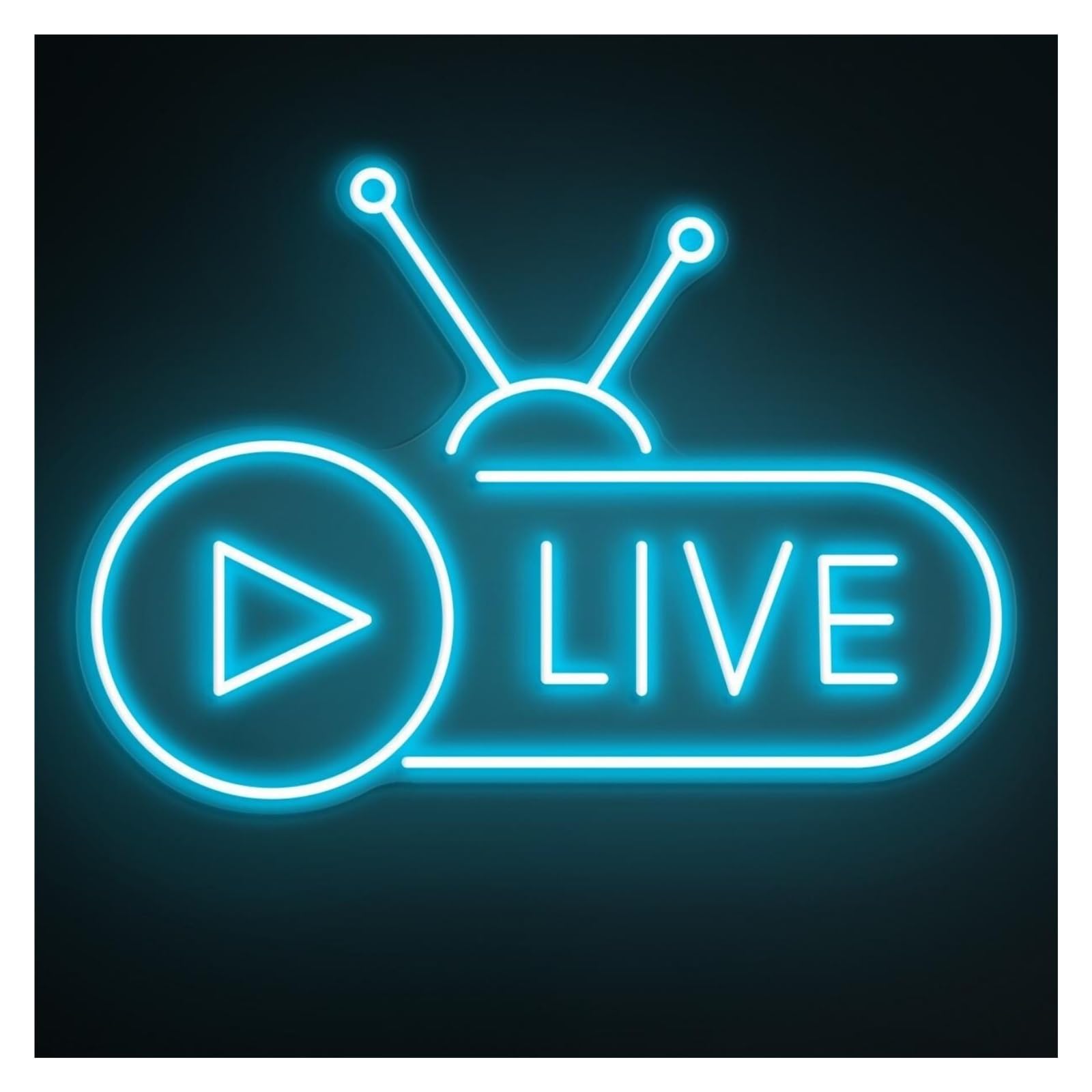 RONGCH Hanging Art Signs Live Neon Sign, Suitable for Broadcast Wall Decor with Brightness Adjustable 43cm
